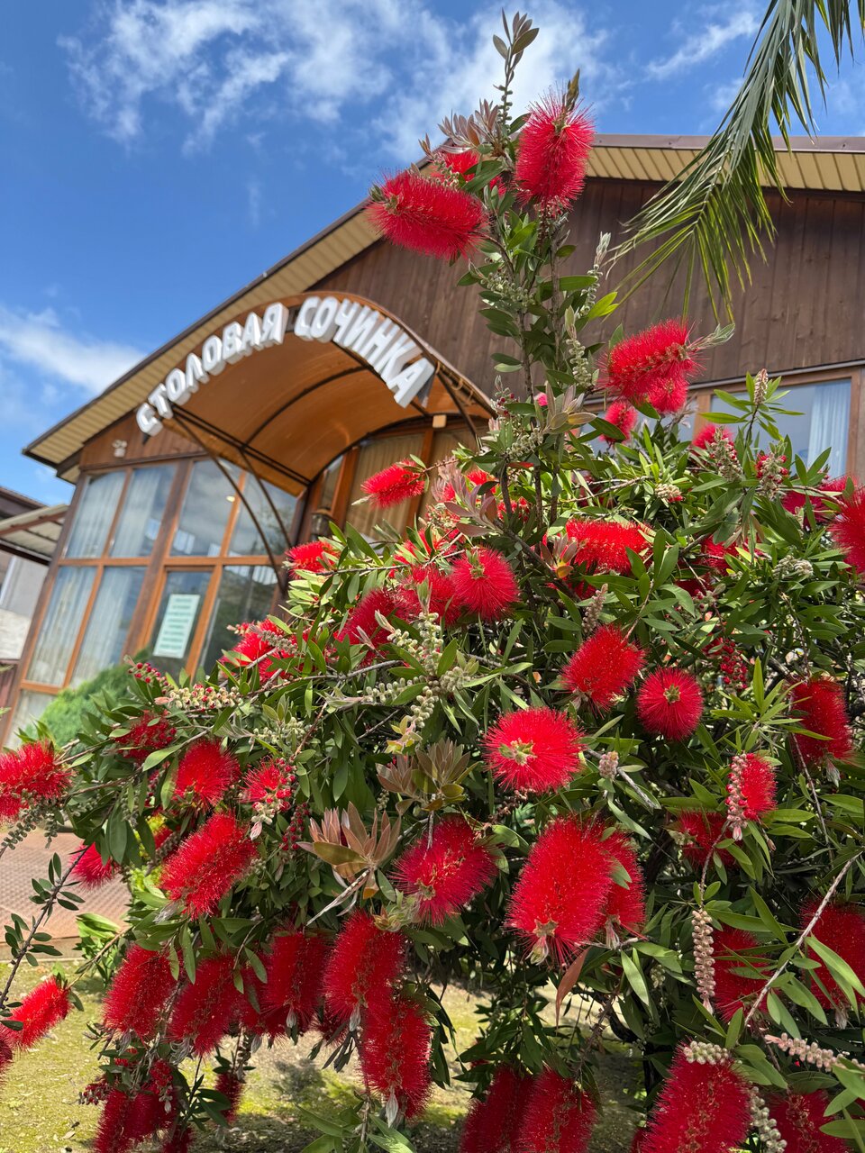 Гостиница Ирина Лоо-18