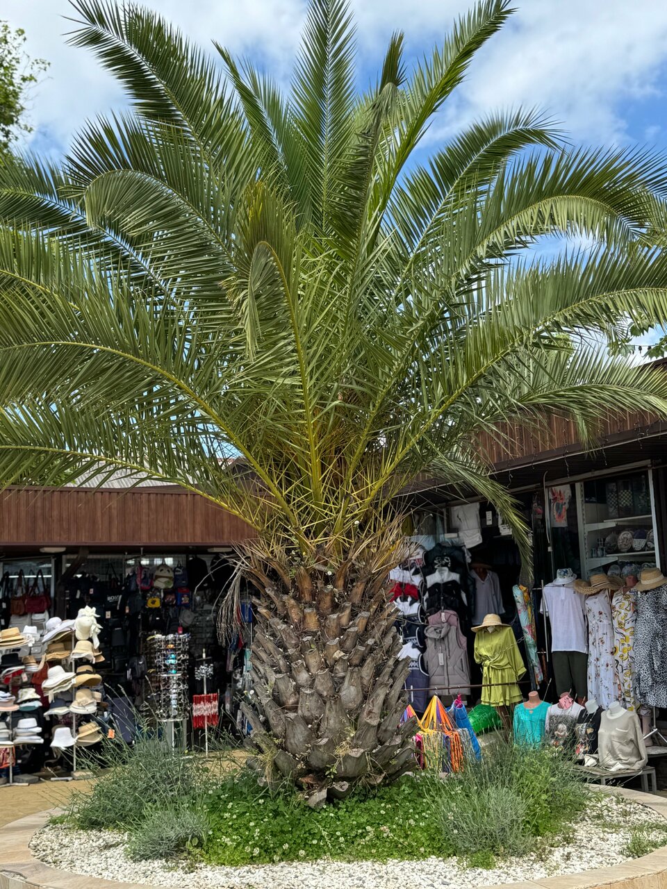 Гостиница Ирина Лоо-20